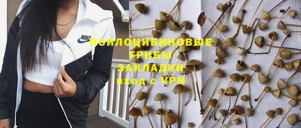 таблы Алексин